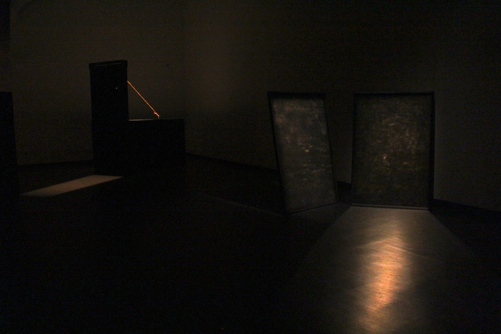 'The Quiet and the Alarming' by Robert Zhao Renhui. Photo by Gwen Pew.