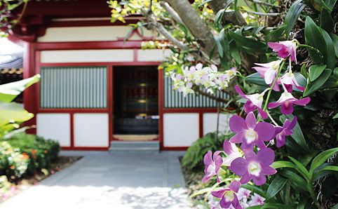 Rooftop garden above the Buddha Tooth Relic Temple in Chinatown. Photo by Gwen Pew.
